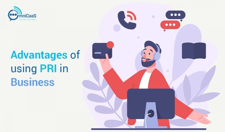 What Is PRI (Primary Rate Interface) | How It Works | A Guide